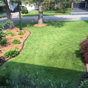 Kick Gas Lawn Care Image Gallery