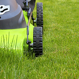 Kick Gas Lawn Care provides environmentally friendly lawn care and property maintenance services throughout Mississauga and the Greater Toronto Area.