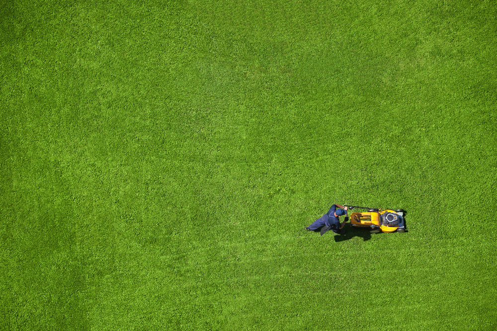 Image of Art's lawn mower from above